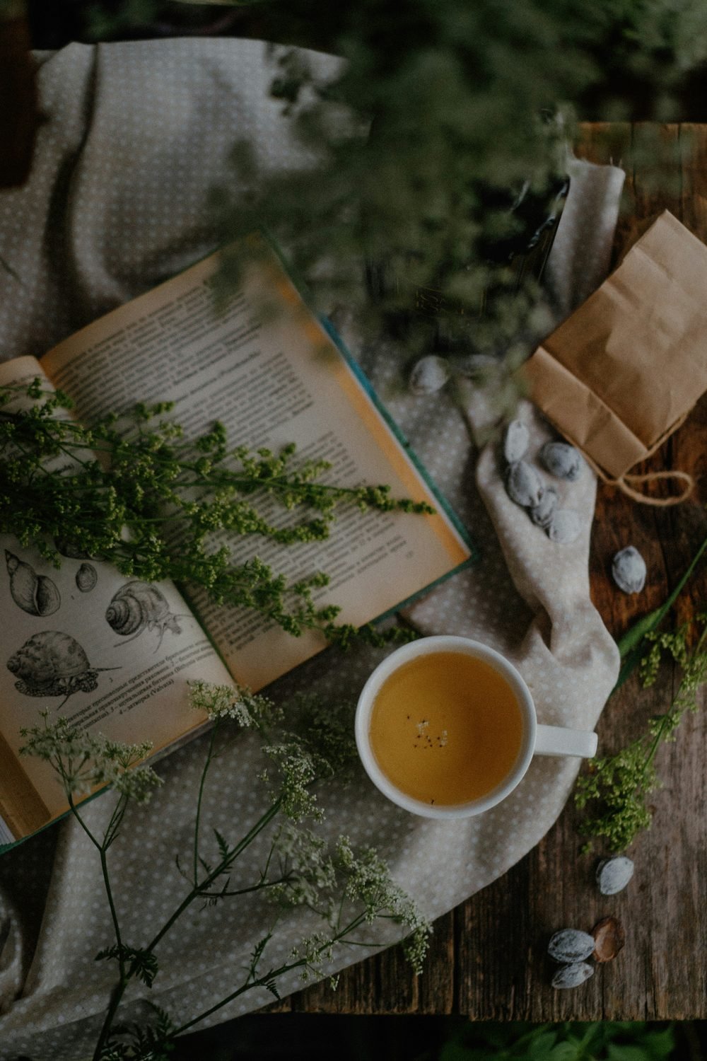 Herbal tea and a book for choosing wellness products